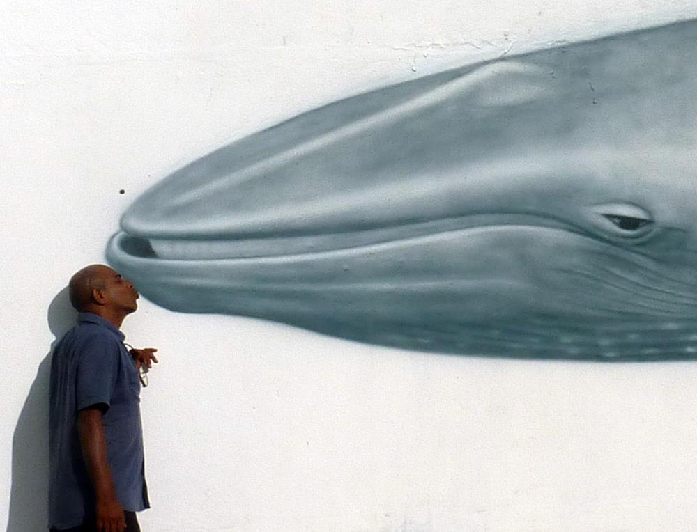 Blue whale