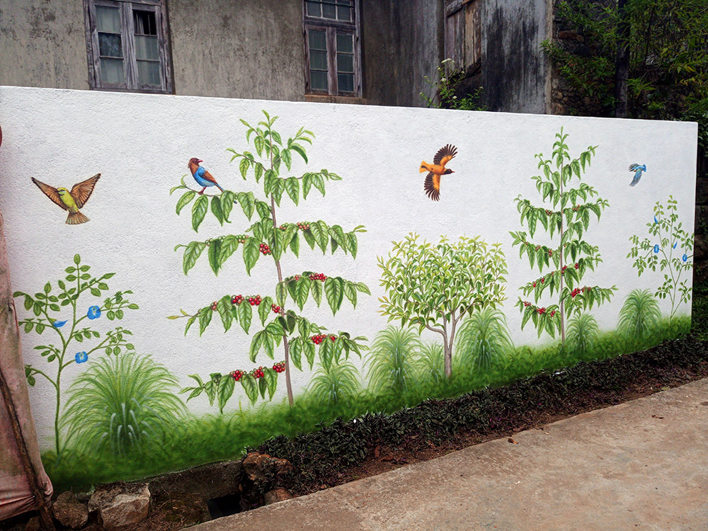 Cofee and tea plants