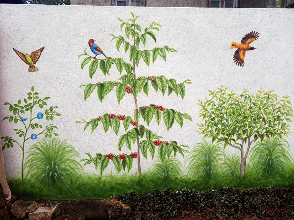 Cofee and tea plants