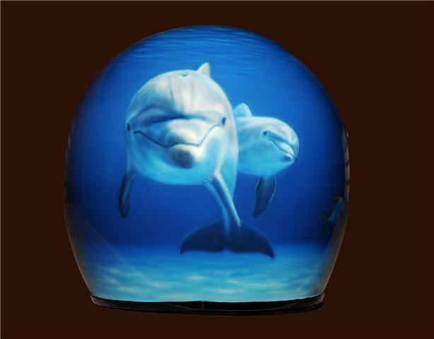 Dolphins helmet