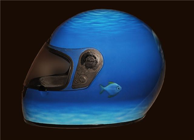 Dolphins helmet