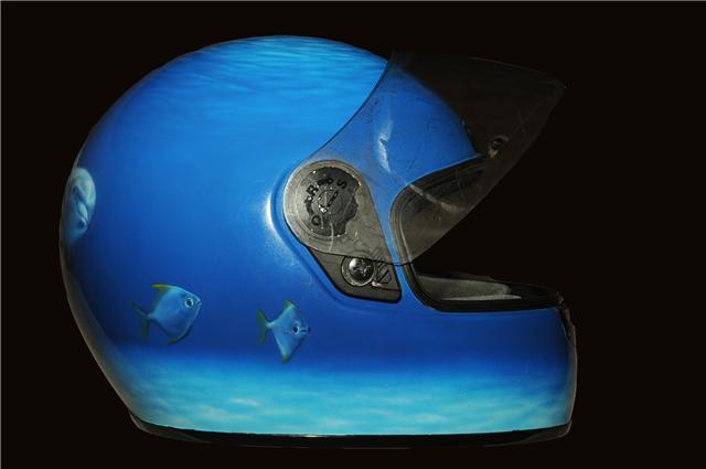 Dolphins helmet