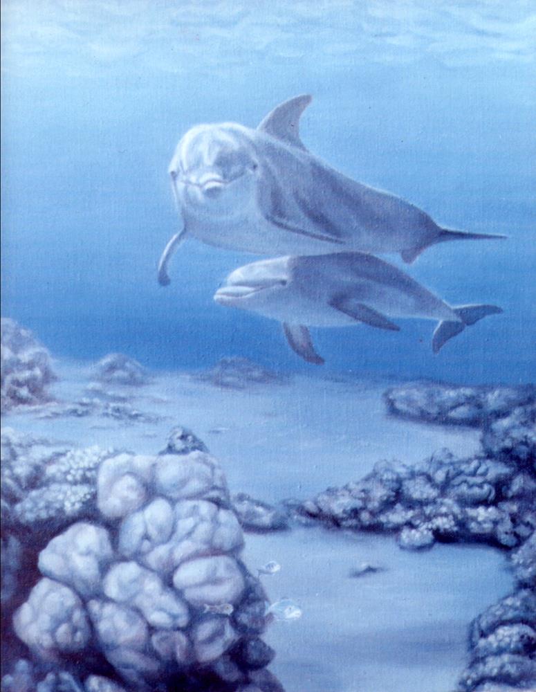 Dolphins